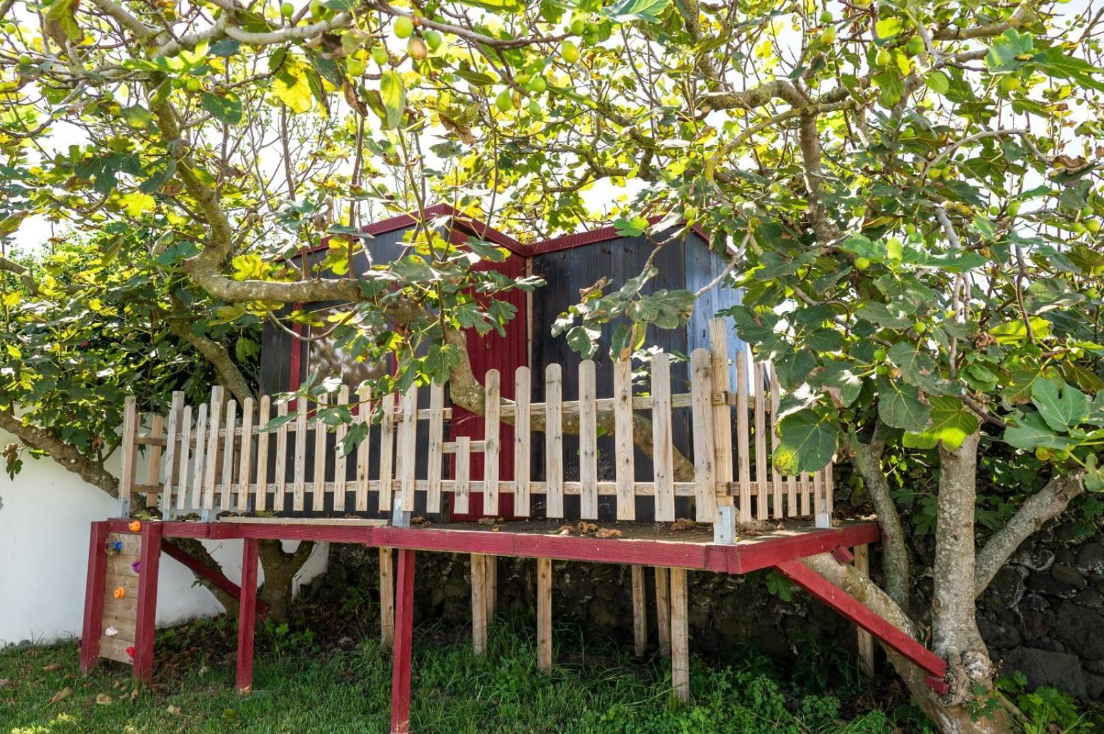 Azores Cow House Calhetas Extérieur photo